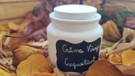 Pot en céramique 30 mL avec couvercle – Idéal pour crème, baume et cosmétiques faits maison