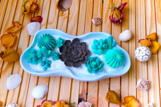 Décoration zen en céramique – Plateau avec succulentes vertes et porte-encens