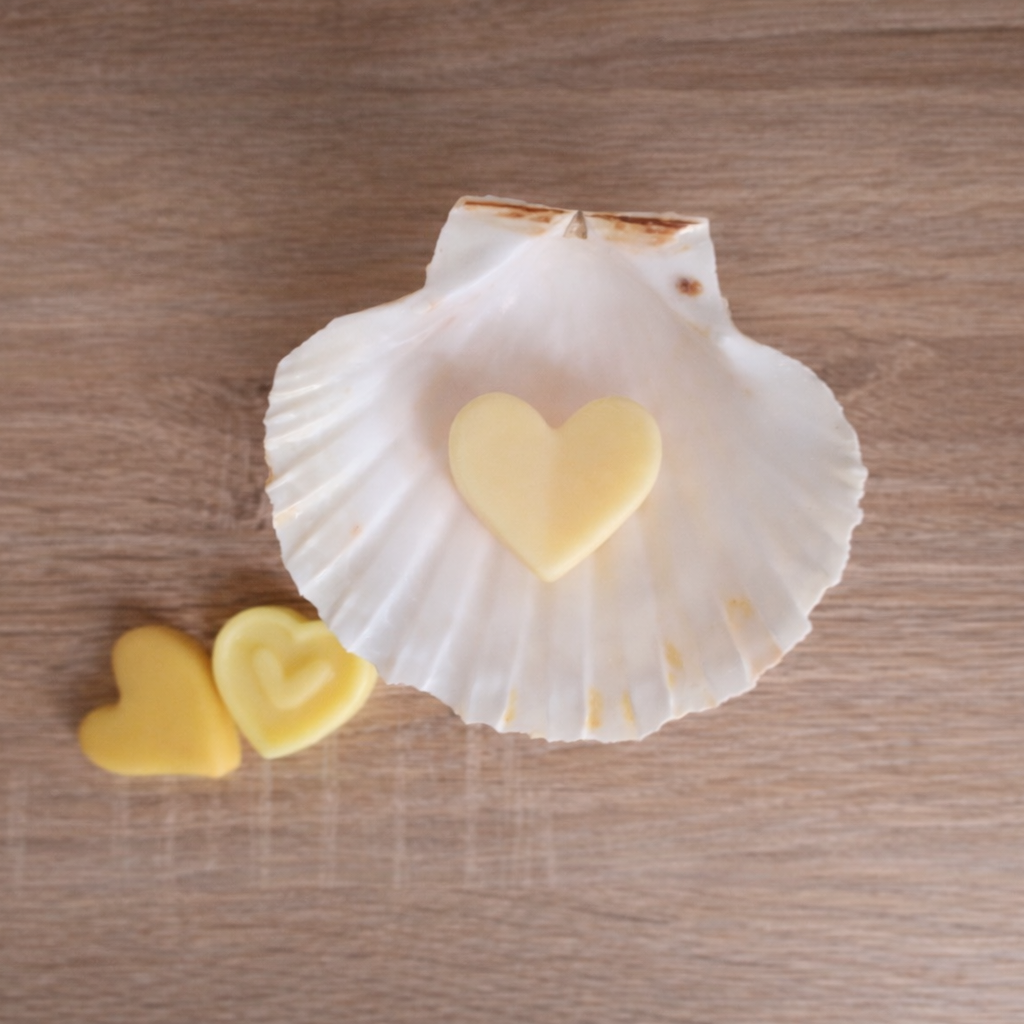 Brûle-parfum en céramique – Tons jaune, coquille Saint-Jacques véritable