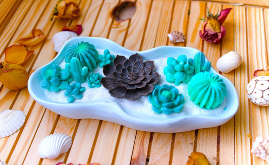 Décoration zen en céramique – Plateau avec succulentes vertes et porte-encens