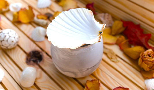 Brûleur à fondant avec support en coquille Saint-Jacques