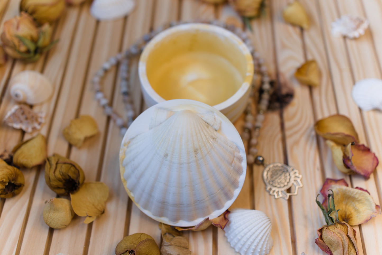 Boîte mystique avec coquille Saint-Jacques – Recharge de pierres naturelles