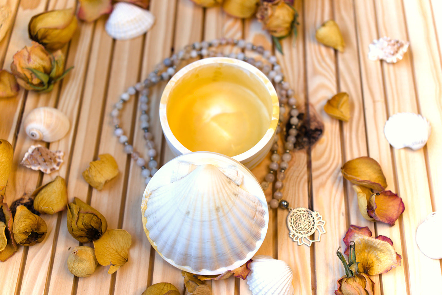 Boîte mystique avec coquille Saint-Jacques – Recharge de pierres naturelles