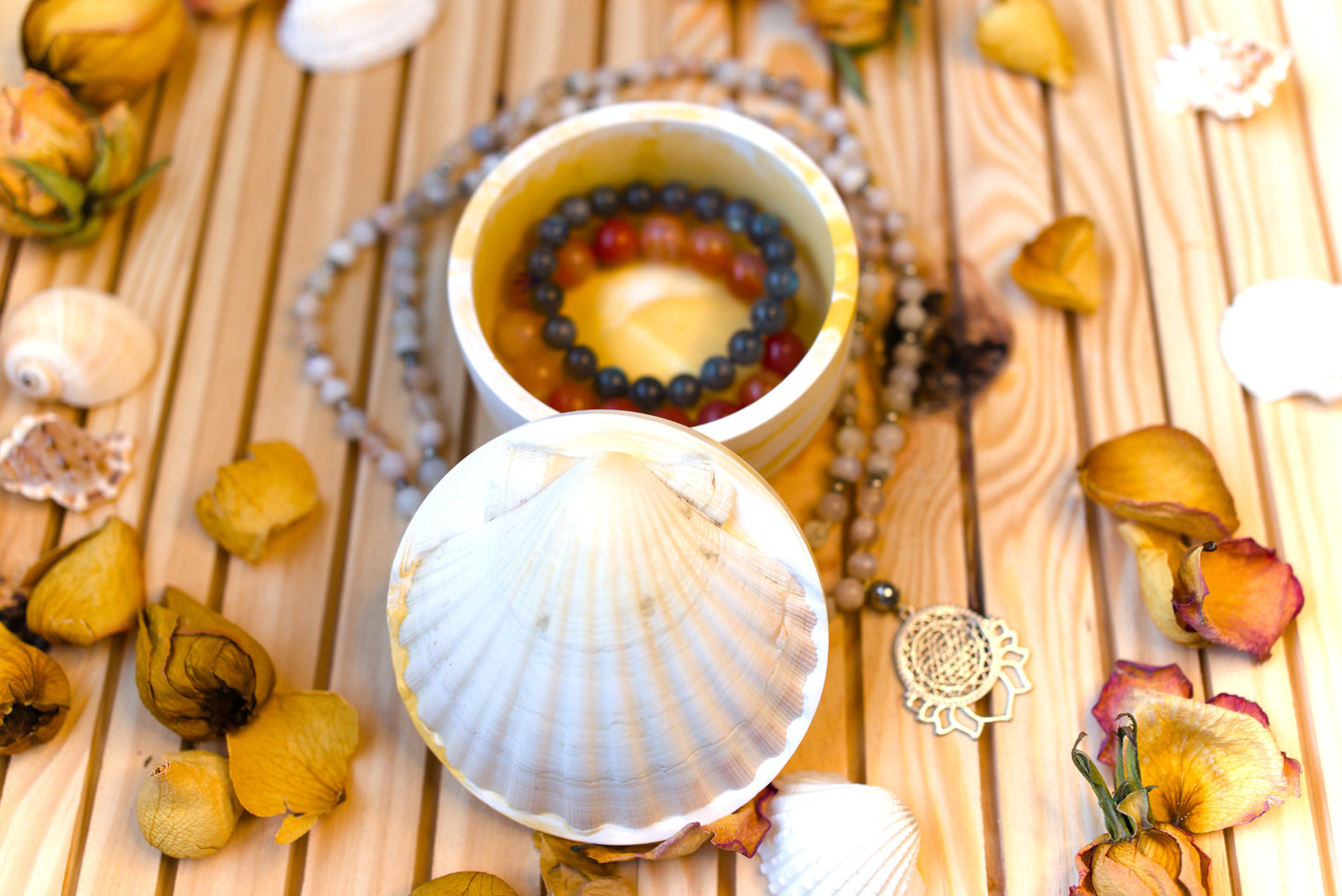 Boîte mystique avec coquille Saint-Jacques – Recharge de pierres naturelles