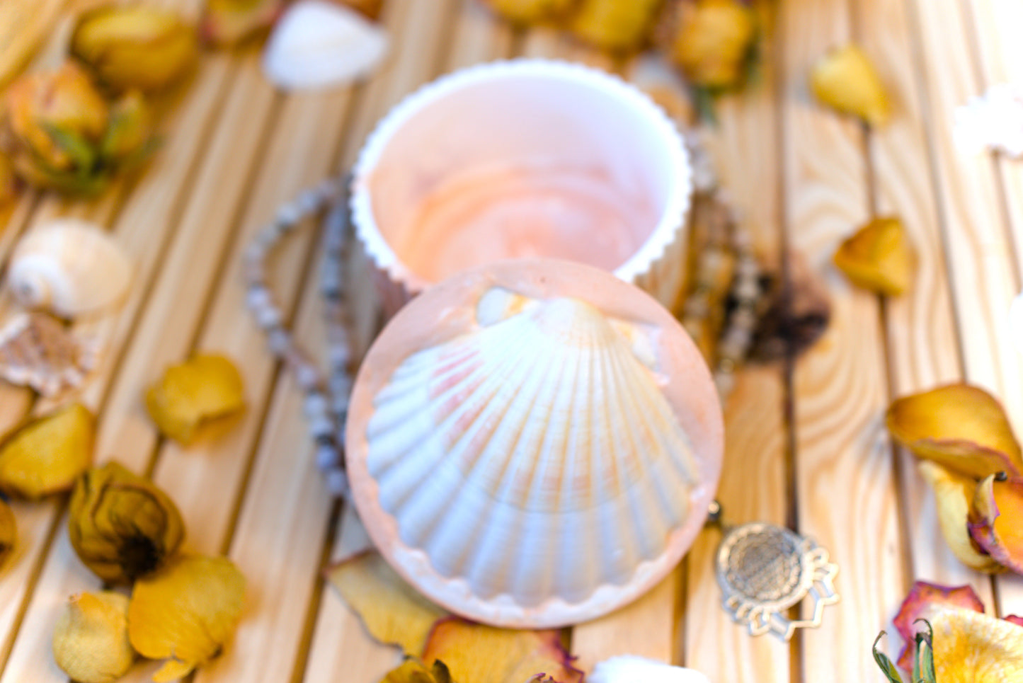 Boîte mystique avec coquille Saint-Jacques – Recharge de pierres naturelles