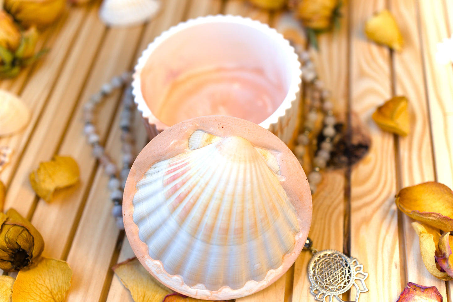 Boîte mystique avec coquille Saint-Jacques – Recharge de pierres naturelles