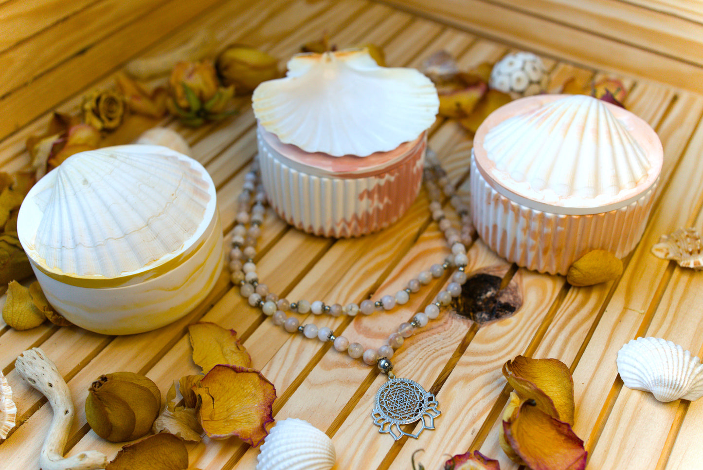 Boîte mystique avec coquille Saint-Jacques – Recharge de pierres naturelles