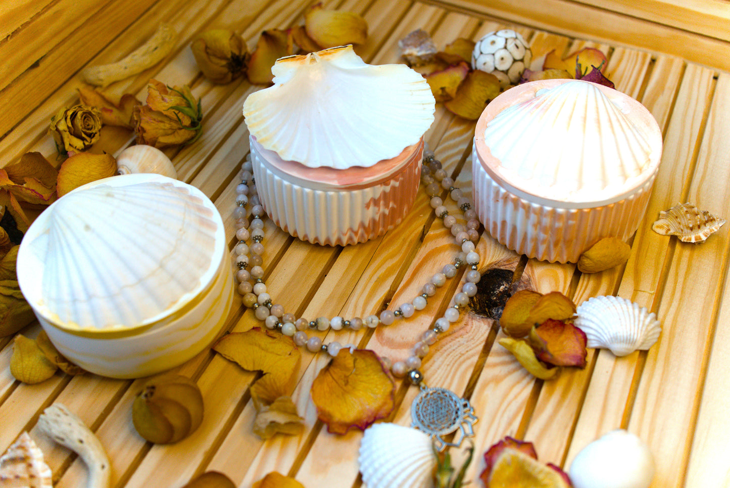 Boîte mystique avec coquille Saint-Jacques – Recharge de pierres naturelles