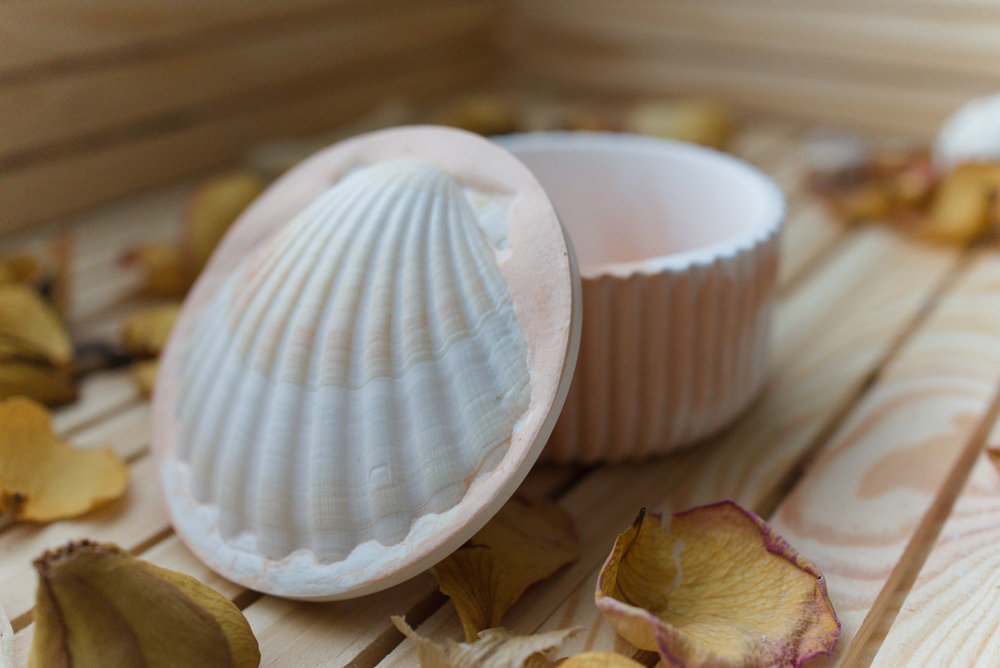 Boîte mystique avec coquille Saint-Jacques – Recharge de pierres naturelles