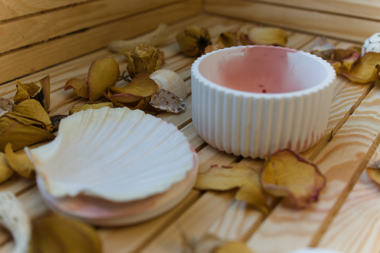 Boîte mystique avec coquille Saint-Jacques – Recharge de pierres naturelles
