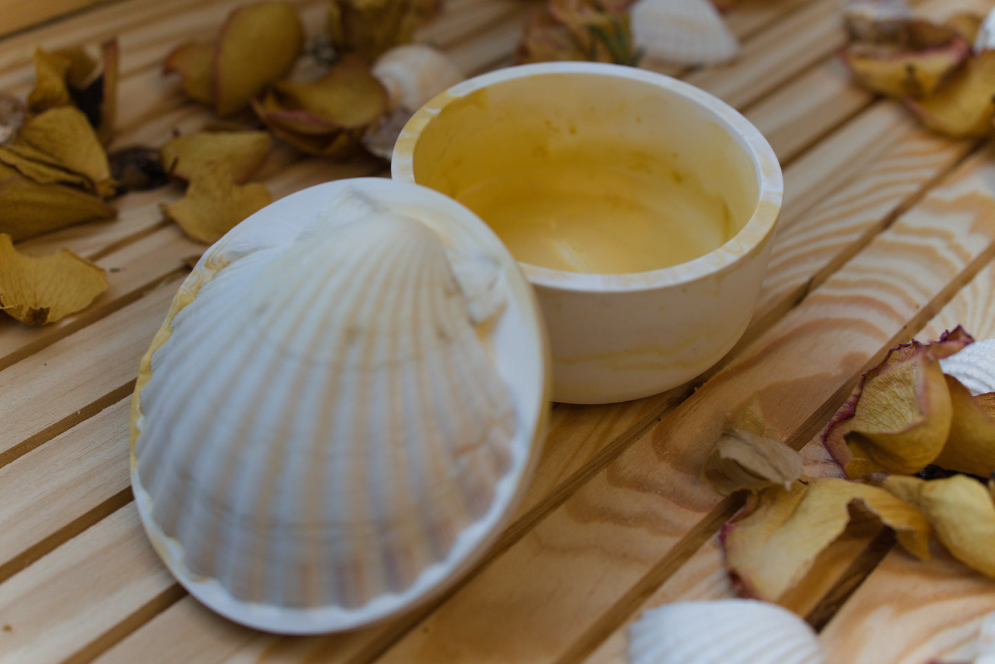 Boîte mystique avec coquille Saint-Jacques – Recharge de pierres naturelles