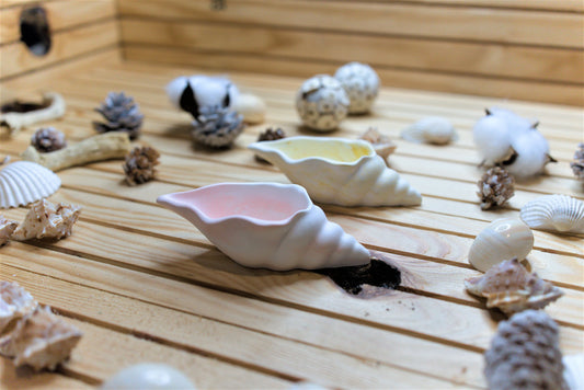 Vide-poche coquillage en céramique – coupelle décorative faite main – objet artisanal bord de mer