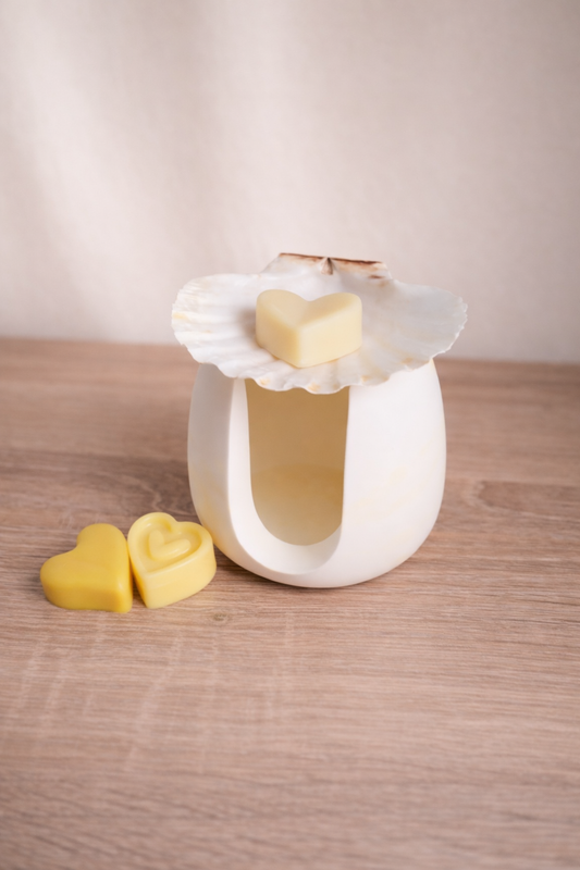 Brûle-parfum en céramique – Tons jaune, coquille Saint-Jacques véritable