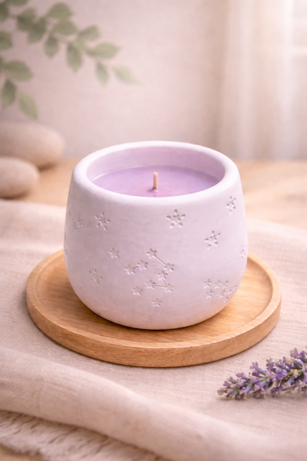 Bougie Étoiles – Fleur de Maquis
